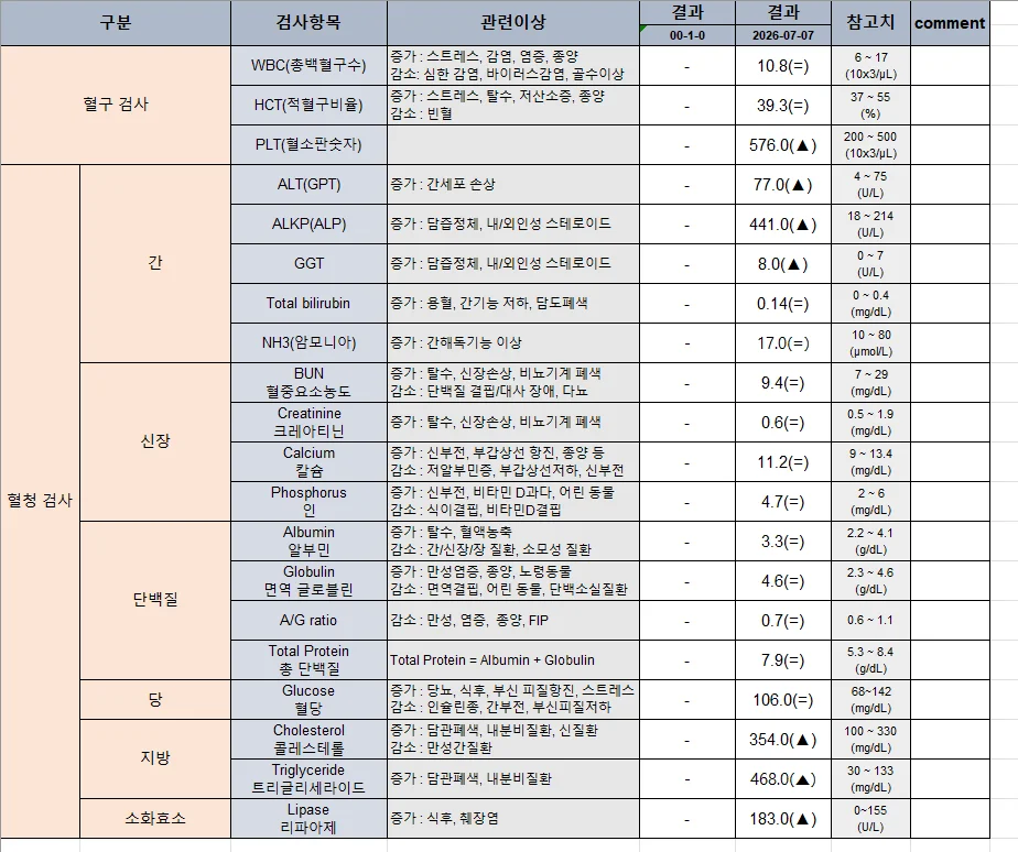 기존의 표 형식 보고서